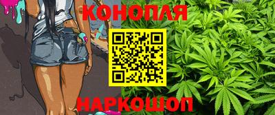 гашик Бузулук