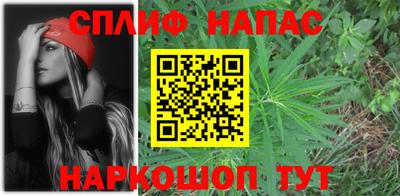 гашик Бузулук
