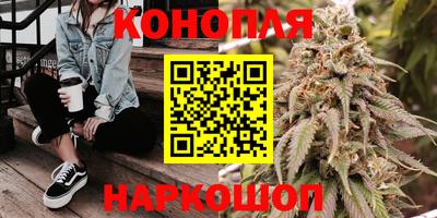 твердый Будённовск